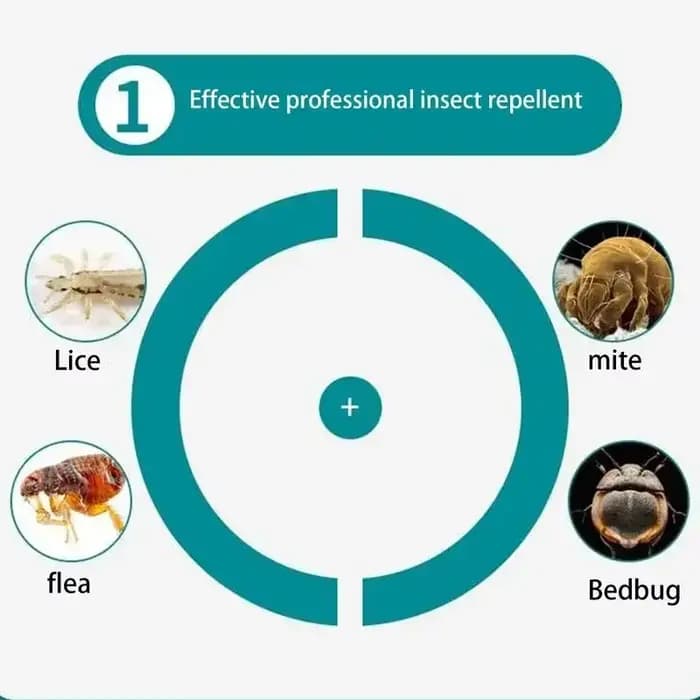 100ml expire les puces pour animaux de compagnie traitements de poux Spray rapide et pratique