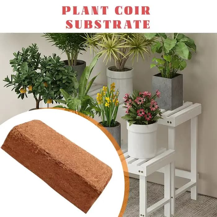Tourbe de coco pour plantes