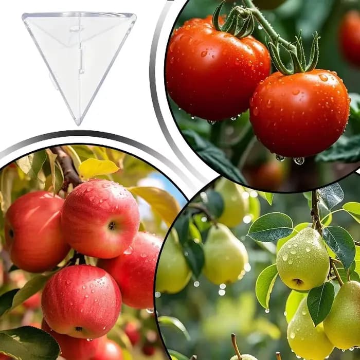Faites pousser vos propres tomates cubiques ou triangulaires, ensemble de moules transparents en PP pour la formation de fruits, gadget de jardinage réutilisable pour des salades surprenantes