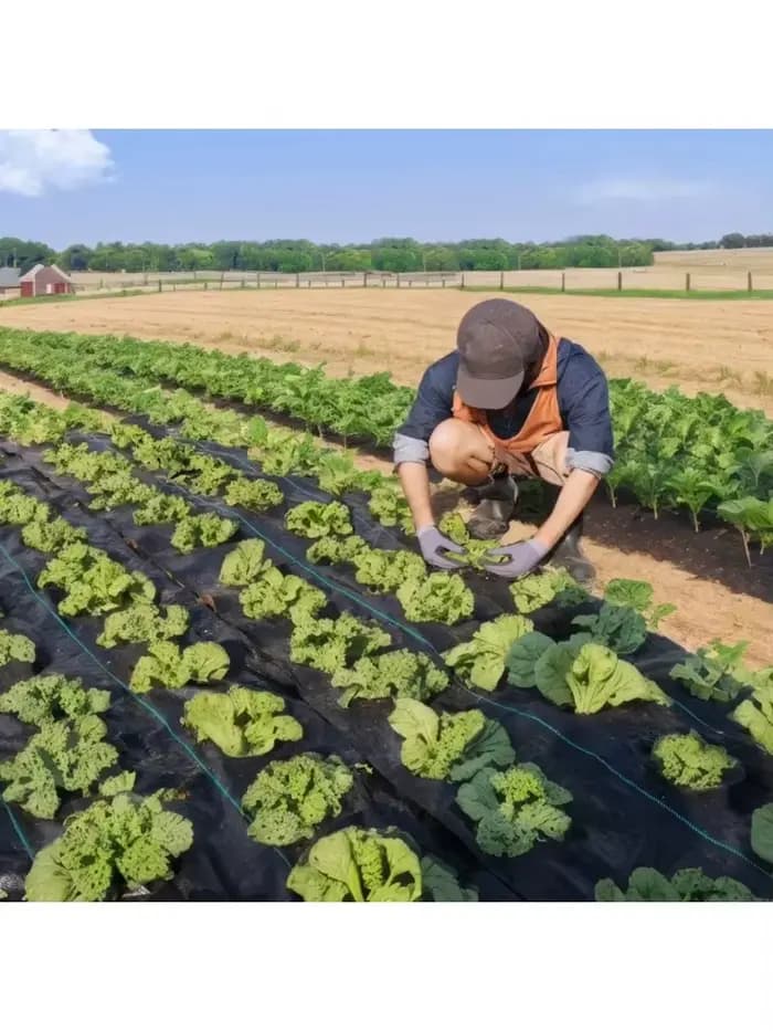 Toile géotextile anti-mauvaises herbes robuste pour aménagement paysager