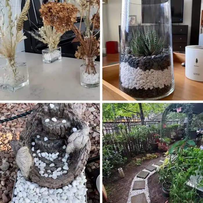 100/300/500G galets blancs pierres décoratives pour plantes-roches de rivière naturelles pour l'aménagement paysager de