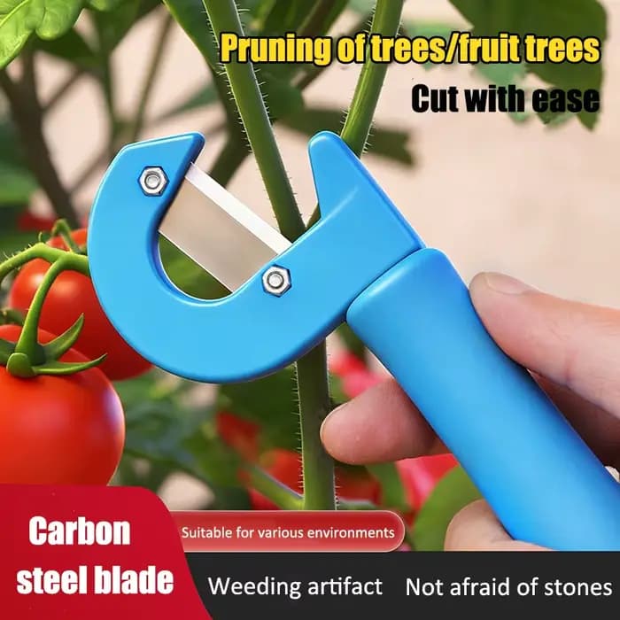 Outil de désherbage de feuilles de tomate de type C