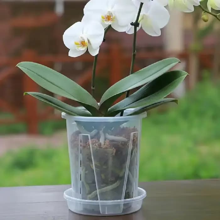 Pot de fleurs transparent en plastique pour le contrôle des racines