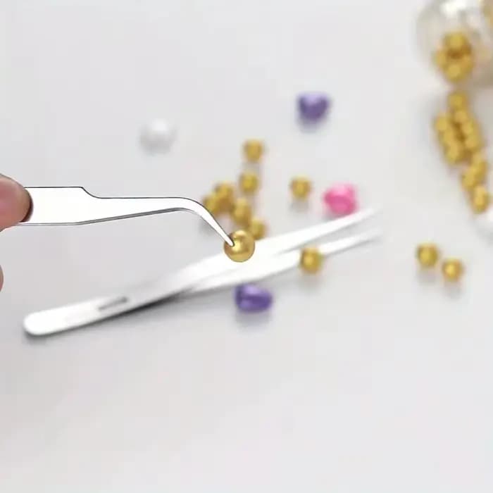Ensemble de 6 pinces à épiler en acier inoxydable Ts-15 pour plantes succulentes