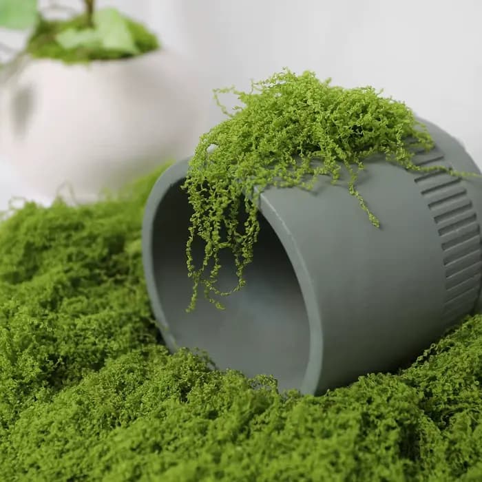 30/50/100g plantes vertes artificielles mousse herbe maison salon jardin décoration Mini paysage fausse fleur bricolage artisanat