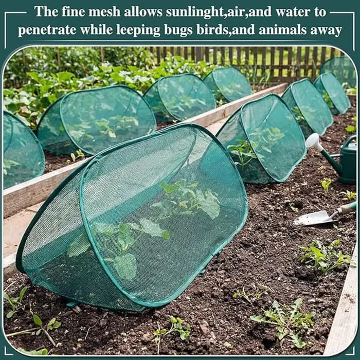 Filet de protection pop-up pour plantes de jardin