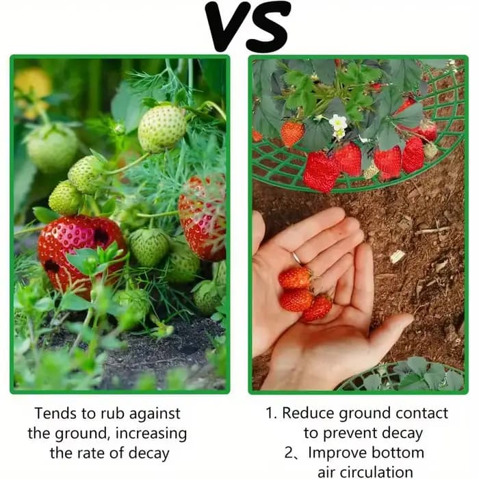 Supports pour plantes à fraises avec trois pieds robustes