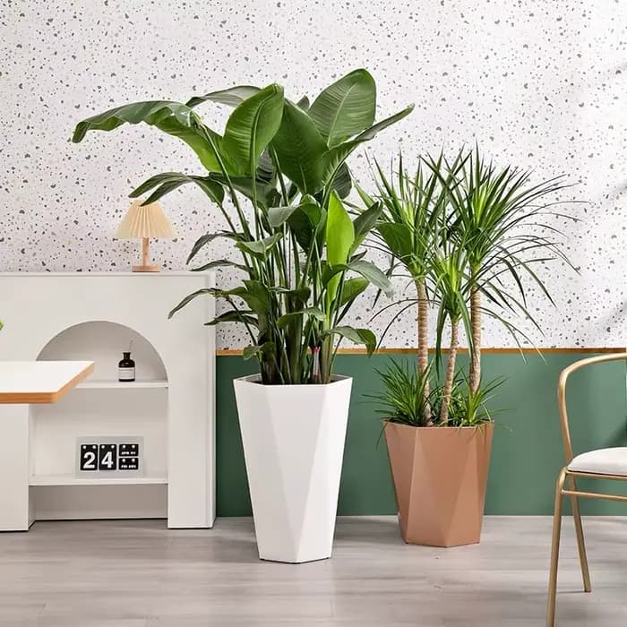 Grand pot de fleur rectangulaire en acier pour l'extérieur et l'intérieur