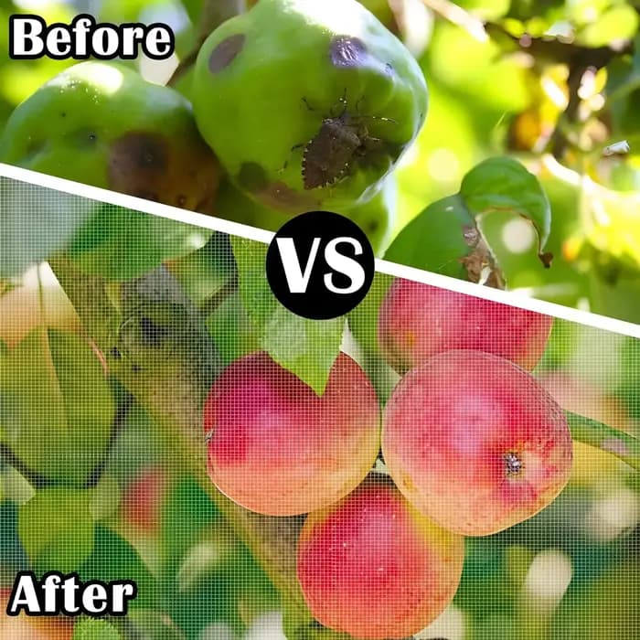 Couverture de filet anti-insectes pour arbres fruitiers