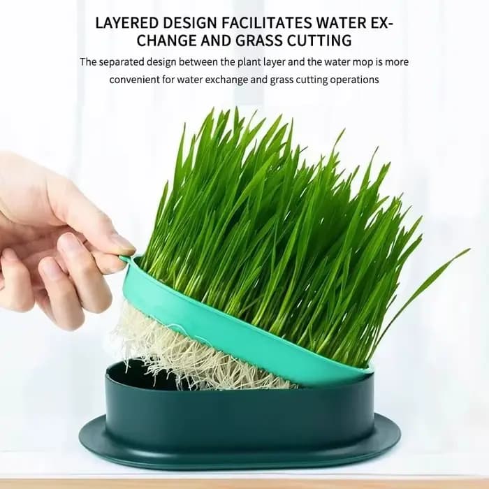 Nouveau plat de germination de chat de compagnie Pot de culture plante hydroponique