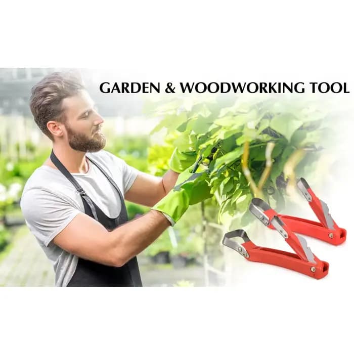 Lot de 2 grattoirs pour écorces d'arbres fruitiers