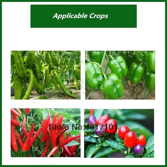 Engrais folaire spécifique au piment et au poivre 30 g : favorise le floraison