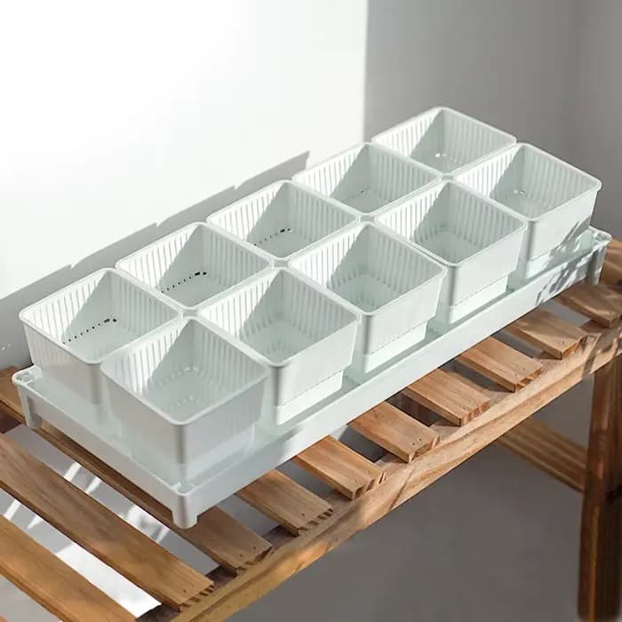 Pot de fleurs succulentes en plastique