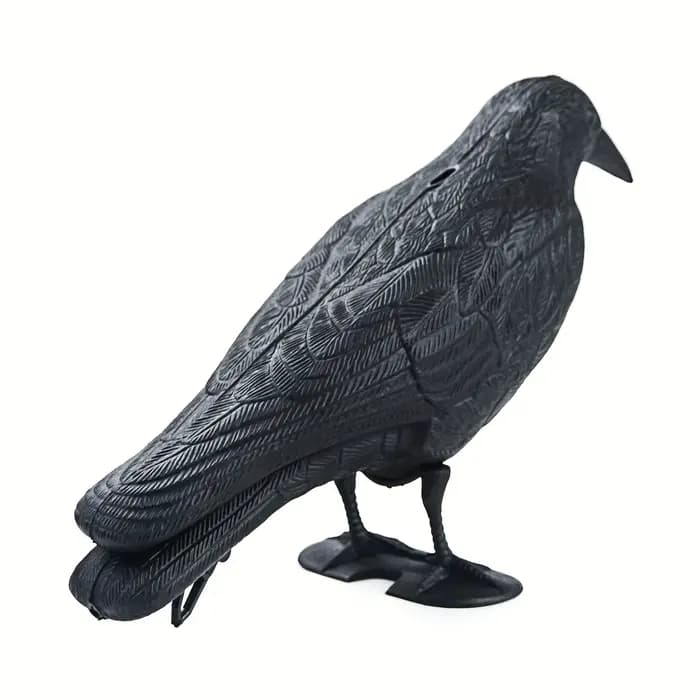 Pigeon épouvantail leurre corbeau antiparasitaire répulsif dissuasion