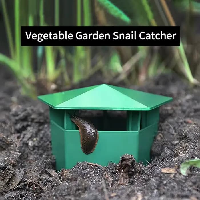 Pièges à escargots pentagonaux pour jardins potagers et plantes succulentes
