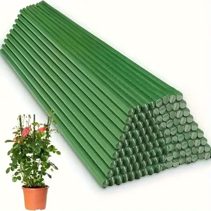 30 tiges de support épaisses pour plantes de tomates