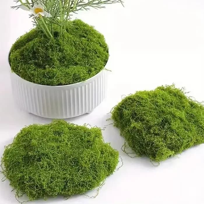100g vert fausse mousse bricolage artisanat herbe