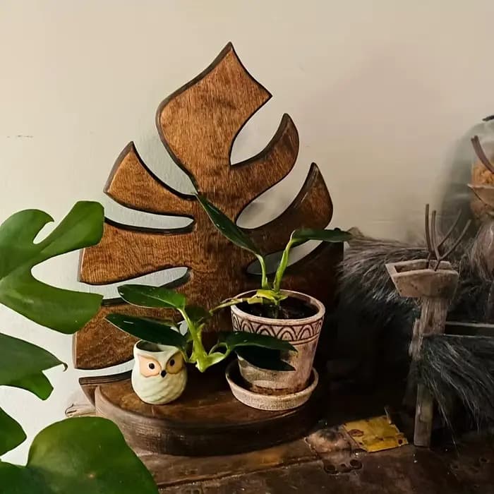 1 étagère murale en bois pour plantes Monstera