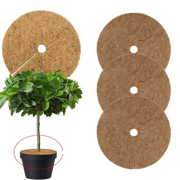 Lot de 3 tapis de paillis en coco pour pot de fleurs