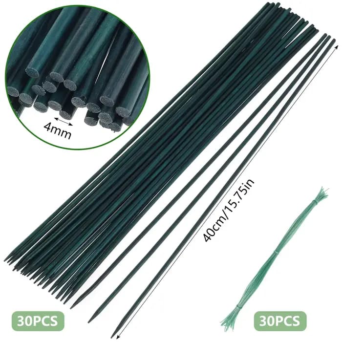 30 pièces bambou vert bâtons plante Support fleur bâton orchidée tige