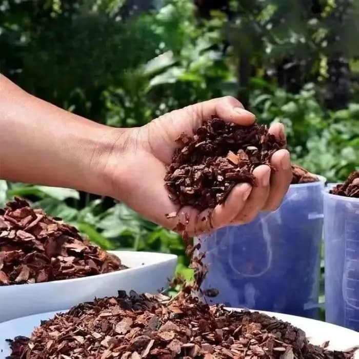 Substrat de culture en écorce de pin fermentée naturelle