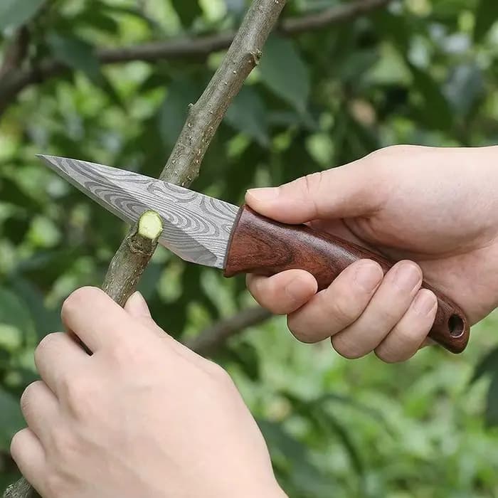Couteau de greffage Sharp avec manche en bois et étui en cuir