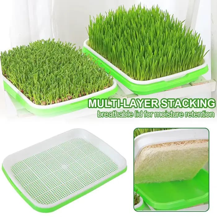 Kit de germination de graines hydroponiques sans terre avec couvercle pour jardin