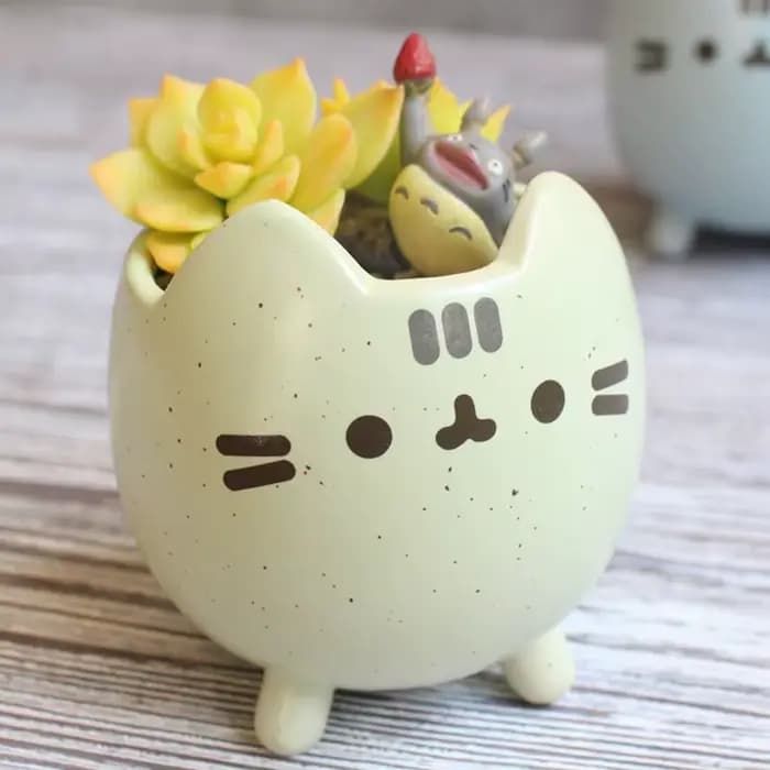 Pot Succulent avec trou
