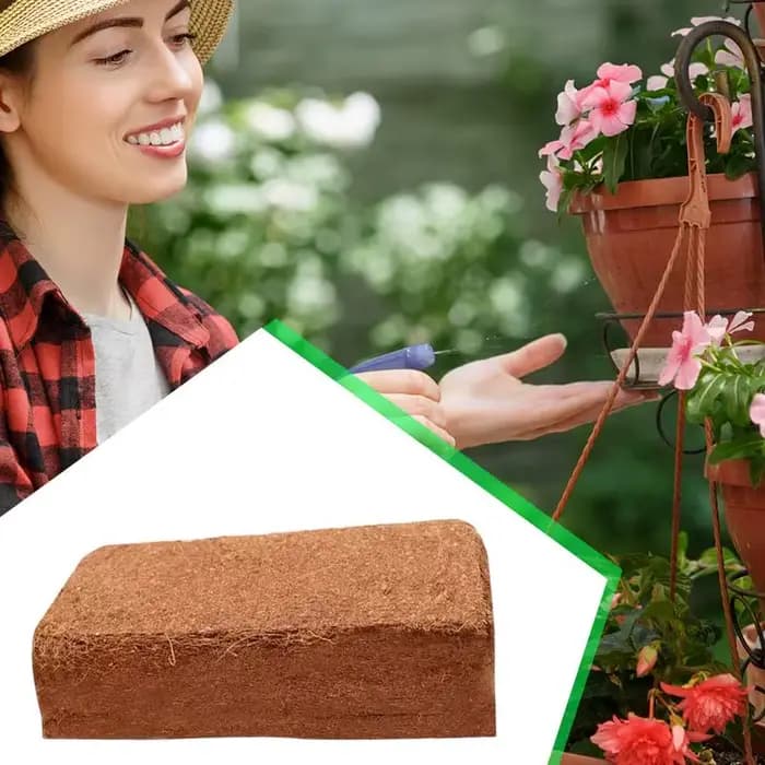 Tourbe de coco pour plantes