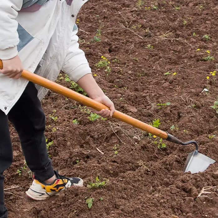 Houe de sol triangulaire pour la plantation de légumes domestiques