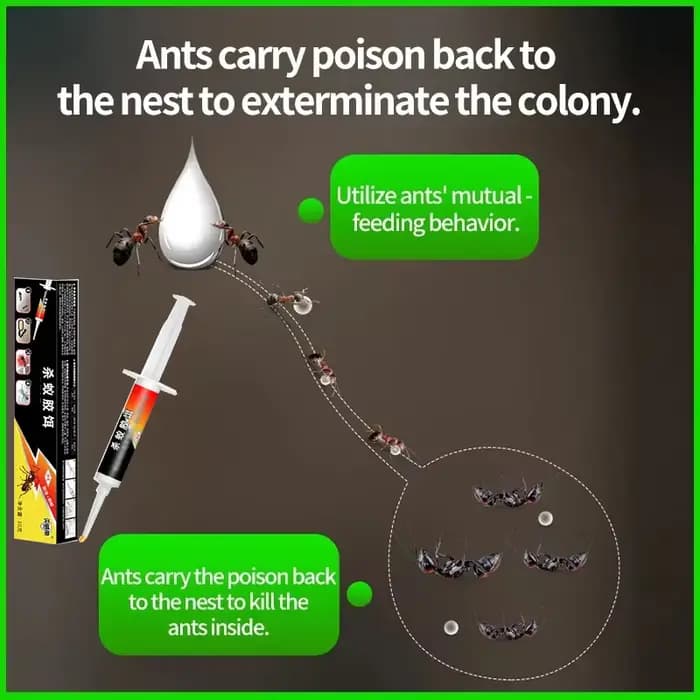 Attrayant de fourmis, utilisé pour la rosée des fourmis