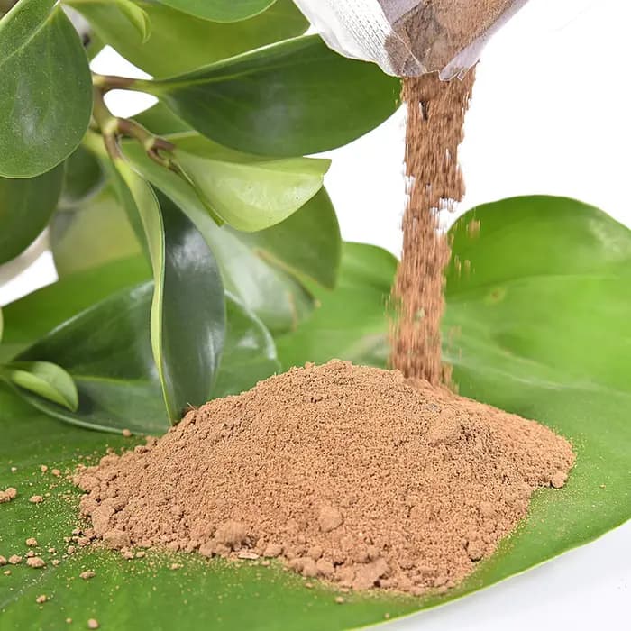 200g naturel Lotus étang boue jardin furtile aquatique bonsaï fleur sol nutritif pour bol spécial