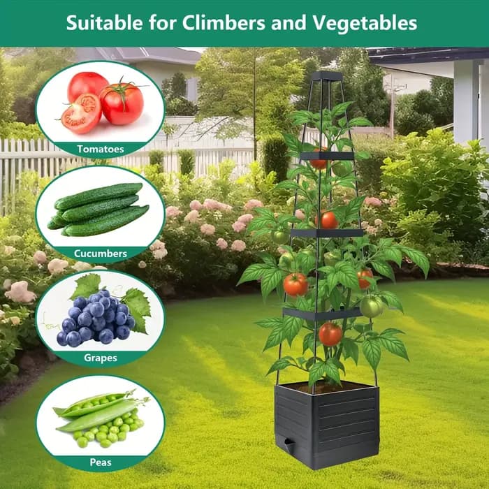 Cage à tomates avec arrosage automatique