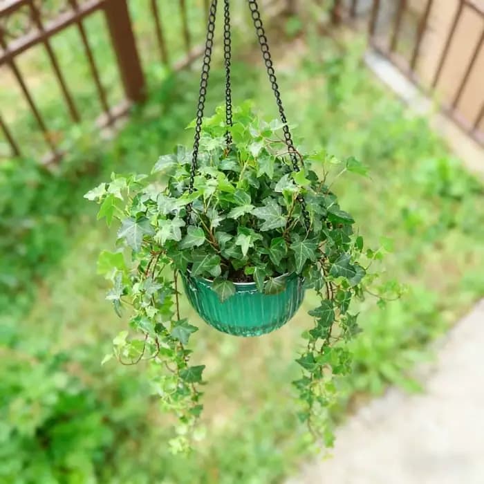 Pot de fleurs auto-arrosant pour balcon et cour