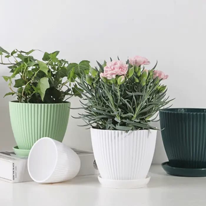 Pot de fleur en plastique Pot de plante succulente avec plateau aneth vert rond Double couche petit Pot
