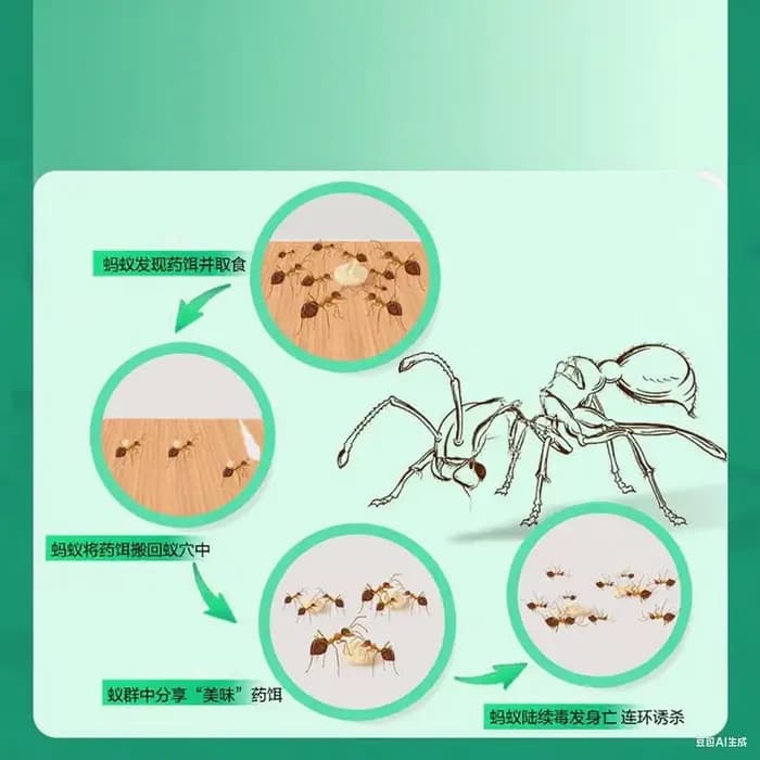 Gel anti-fourmis capable d'éliminer rapidement les fourmis