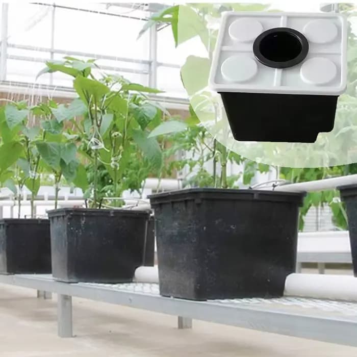 Système hydroponique sans sol pour balcon domestique