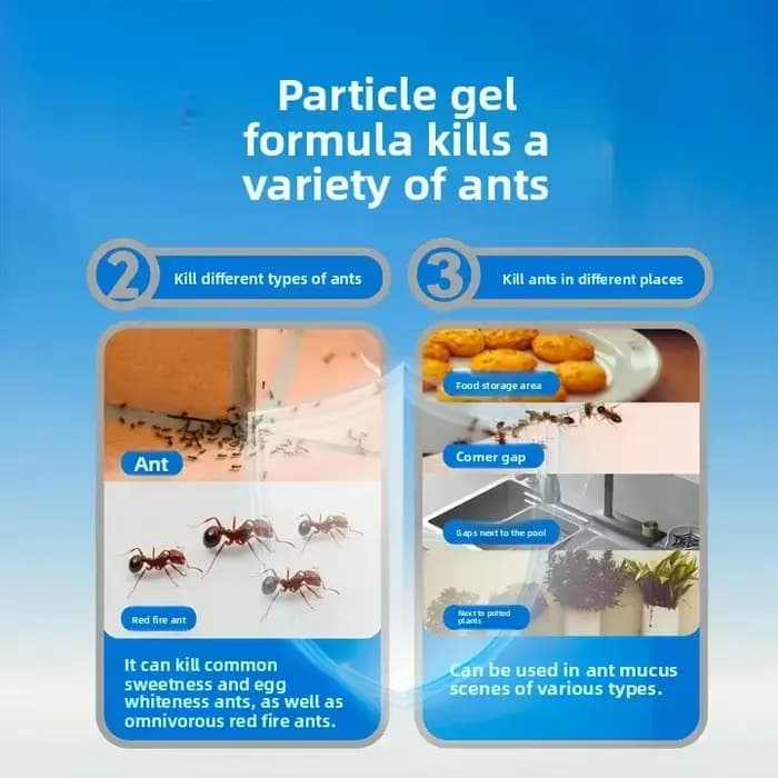 Piège à fourmis en Gel