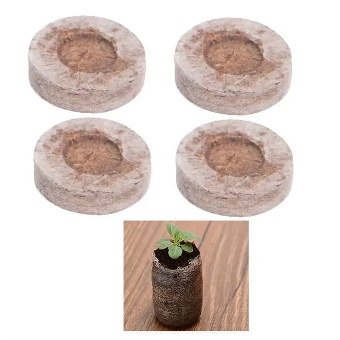 10 pièces de pastilles de tourbe compressée de 3 cm