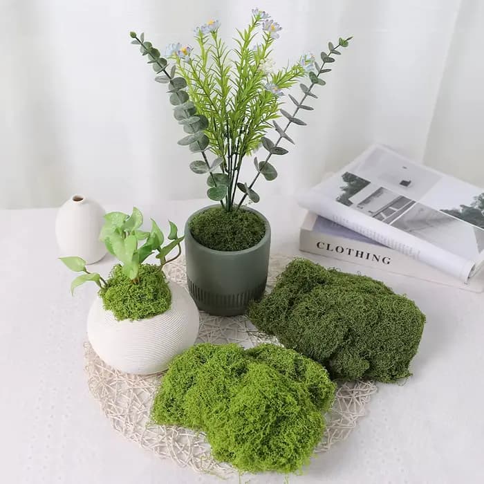 30/50/100g plantes vertes artificielles mousse herbe maison salon jardin décoration Mini paysage fausse fleur bricolage artisanat