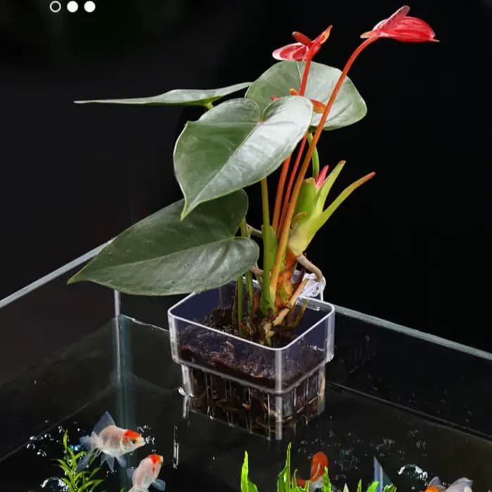 Panier de plantation hydroponique pour Aquarium de poissons