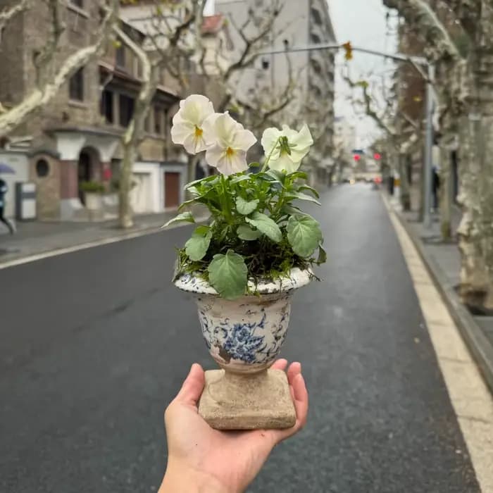 Pot en céramique rétro français pour plantes