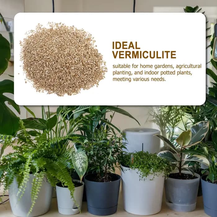 Vermiculite fine de qualité supérieure 3L pour l'amélioration du sol de jardin