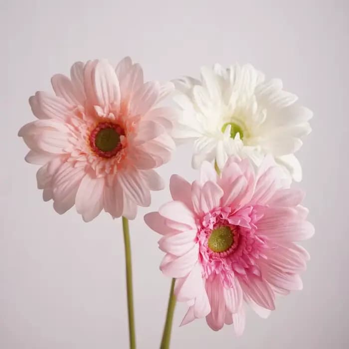 Branche de fleur artificielle Gerbera hydratante au toucher