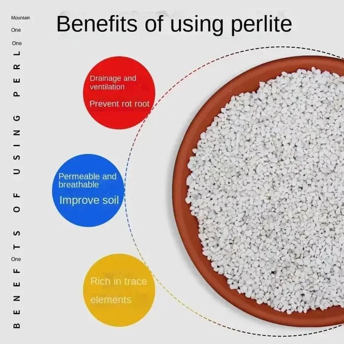 1L/2L Perlite granulés configurer sol nutritif plante pépinière respirant sol libre substrat pour jardin bonsaï