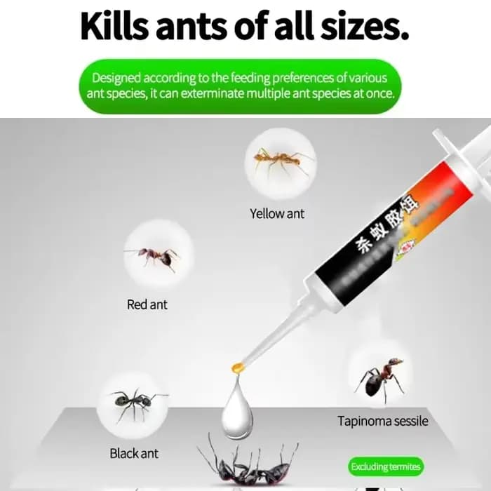 Attrayant de fourmis, utilisé pour la rosée des fourmis
