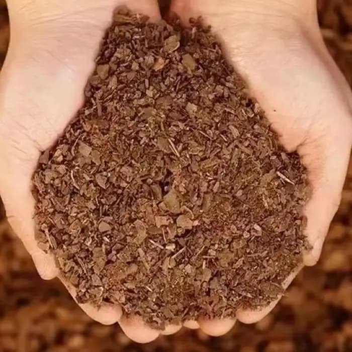 Substrat de culture en écorce de pin fermentée naturelle