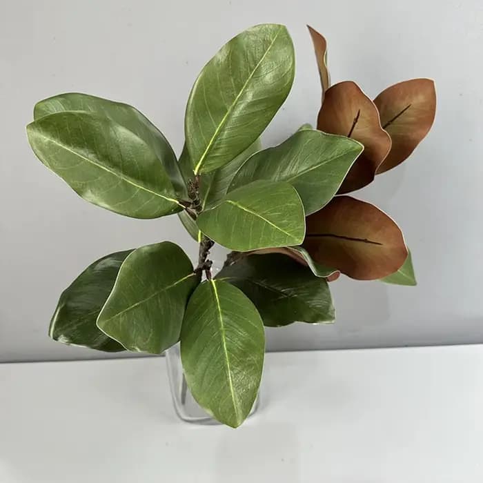 Feuilles de magnolia de style artistique de plante verte simulée