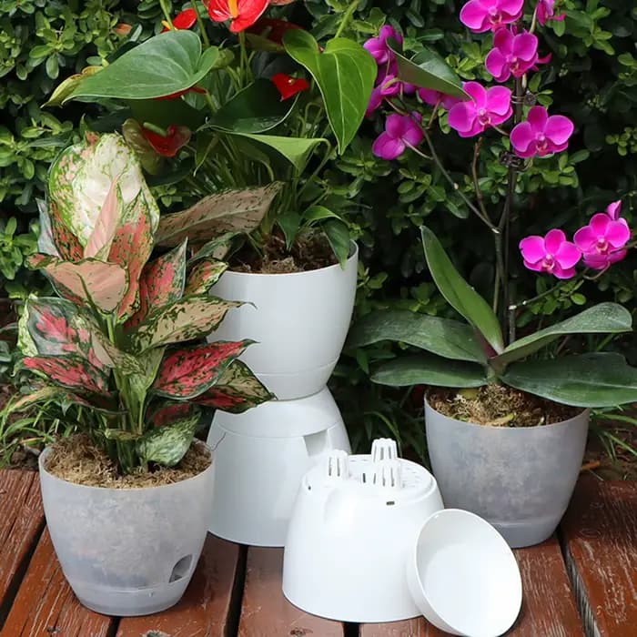 Pot d'orchidée transparent avec trous