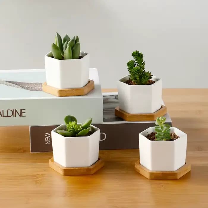Pot de fleurs en céramique hexagonale blanche
